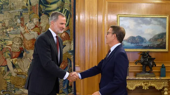 El rey Felipe VI recibe al líder del Partido Popular, Alberto Núñez Feijóo El rey Felipe VI recibe al líder del Partido Popular, Alberto Núñez Feijóo