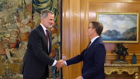 El rey Felipe VI recibe al líder del Partido Popular, Alberto Núñez Feijóo El rey Felipe VI recibe al líder del Partido Popular, Alberto Núñez Feijóo