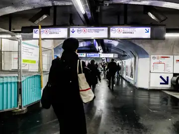 Alerta en París por la invasión de chinche en espacios públicos como el metro, cines o trenes