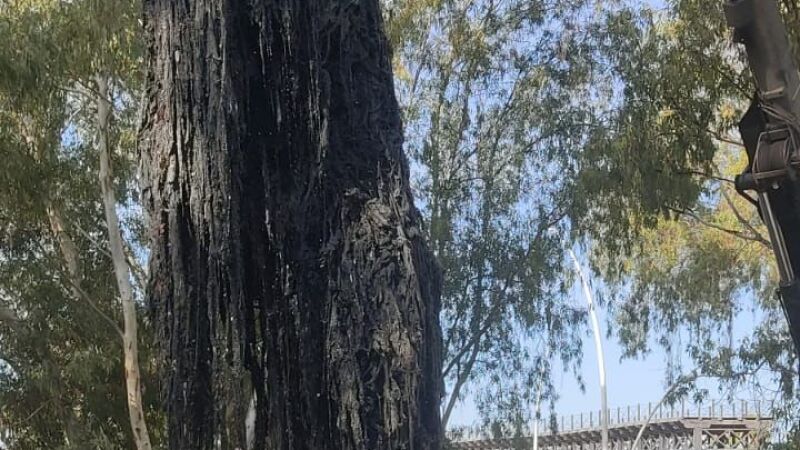 Un 'monstruo' de toallitas de 400 kilos colapsa las alcantarillas de Huelva