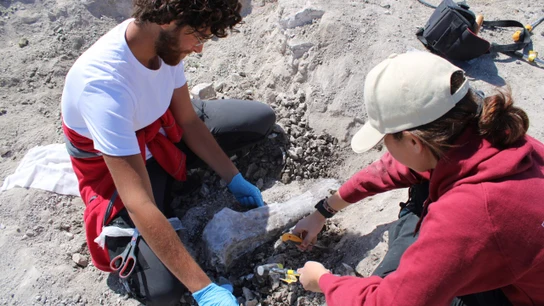 Imágenes del proceso de excavación en el polígono La Atayuela. Imágenes del proceso de excavación en el polígono La Atayuela.