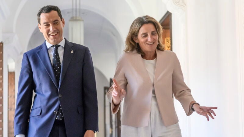Juanma Moreno y Teresa Ribera, sonrientes durante su reunión en Sevilla