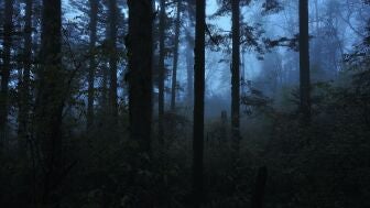 Qu&eacute; es la Santa Compa&ntilde;a, una de las leyendas m&aacute;s antiguas de Galicia