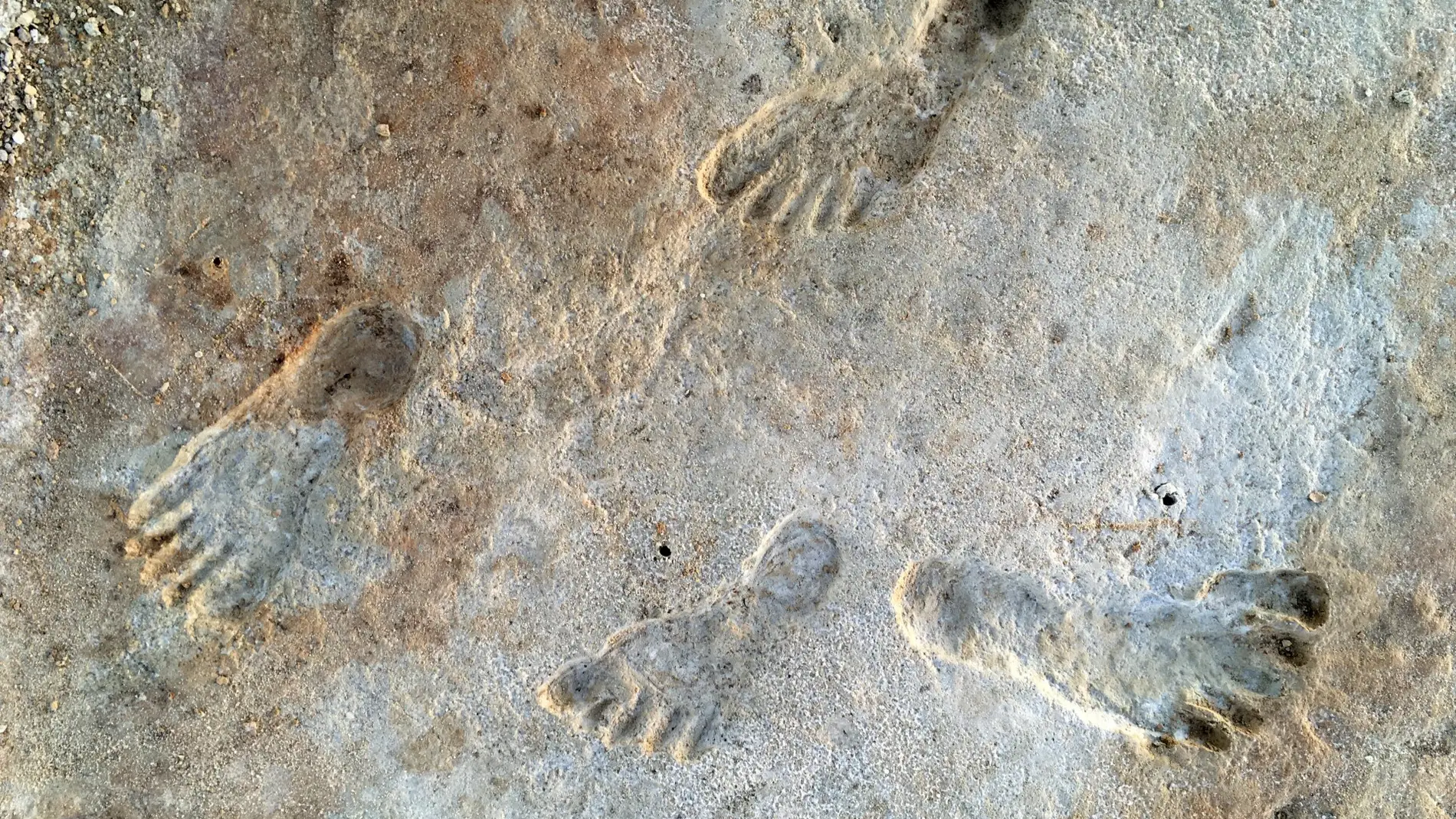 pisadas humanas fosilizadas