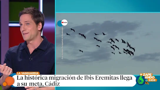 Una bandada de aves viaja desde Austria a Cádiz siguiendo a dos humanas: Gotzon Mantuliz desvela de dónde surge la idea Una bandada de aves viaja desde Austria a Cádiz siguiendo a dos humanas: Gotzon Mantuliz desvela de dónde surge la idea