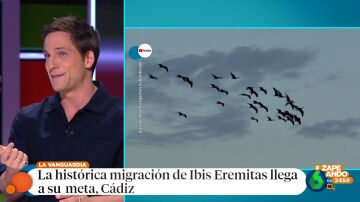 Una bandada de aves viaja desde Austria a Cádiz siguiendo a dos humanas: Gotzon Mantuliz desvela de dónde surge la idea