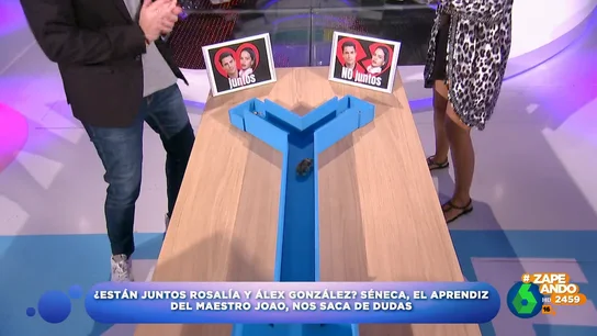 ¿Están juntos Rosalía y Álex González? El hámster Séneca da su veredicto en Zapeando  ¿Están juntos Rosalía y Álex González? El hámster Séneca da su veredicto en Zapeando