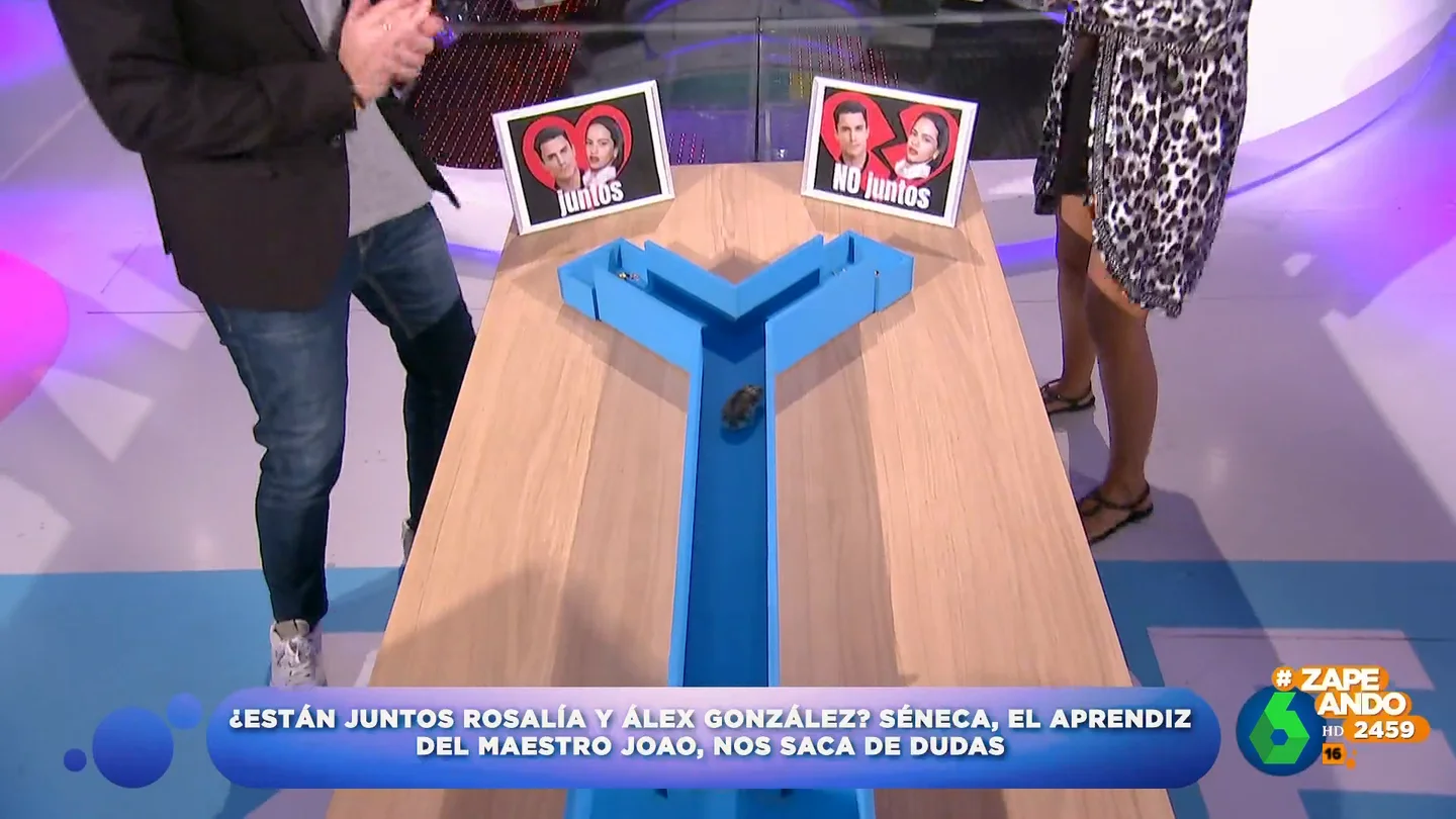 ¿Están juntos Rosalía y Álex González? El hámster Séneca da su veredicto en Zapeando ¿Están juntos Rosalía y Álex González? El hámster Séneca da su veredicto en Zapeando