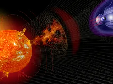 Detectan en árboles la mayor tormenta solar de la historia Detectan en árboles la mayor tormenta solar de la historia