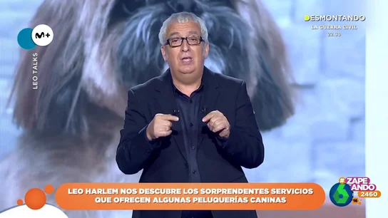 Leo Harlem 'confiesa' en las 'Leo Talks' el servicio que pidió la última vez que fue a la peluquería Leo Harlem 'confiesa' en las 'Leo Talks' el servicio que pidió la última vez que fue a la peluquería