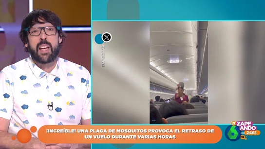 El sorprendente motivo que provoca el retraso de un avión: está infestado de mosquitos El sorprendente motivo que provoca el retraso de un avión: está infestado de mosquitos