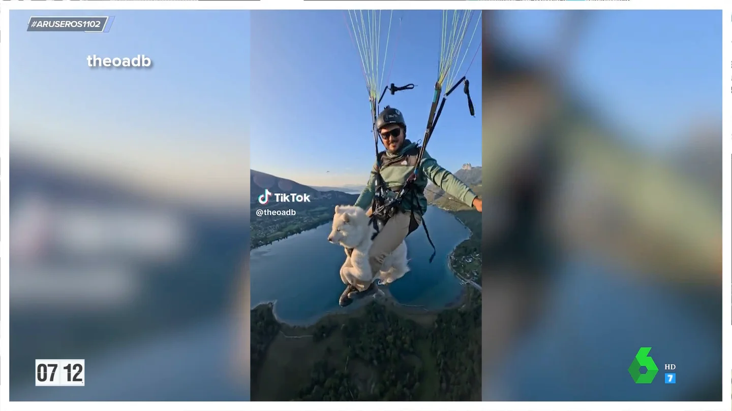 El polémico vídeo de un chico que se lanza en paracaídas con su perro: "Le puede dar algo" El polémico vídeo de un chico que se lanza en paracaídas con su perro: "Le puede dar algo"