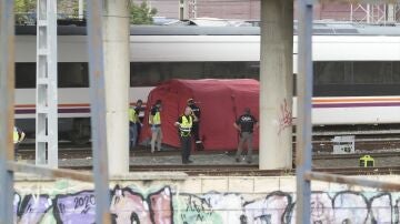 La policía junto al cadáver localizado entre dos trenes cerca de la estación de Santa Justa, donde desapareció Álvaro Prieto