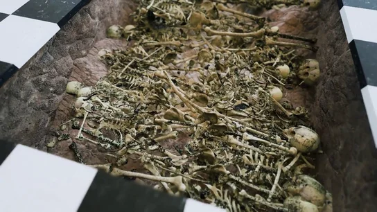 El horror de la sagrera: la fosa común de Barcelona donde encontraron amontonados centenares de cadáveres por la peste negra El horror de la sagrera: la fosa común de Barcelona donde encontraron amontonados centenares de cadáveres por la peste negra