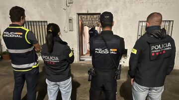 Operación conjunta de Policía y Mossos contra una organización neonazi en Cataluña, Madrid, Lugo, Toledo y Málaga