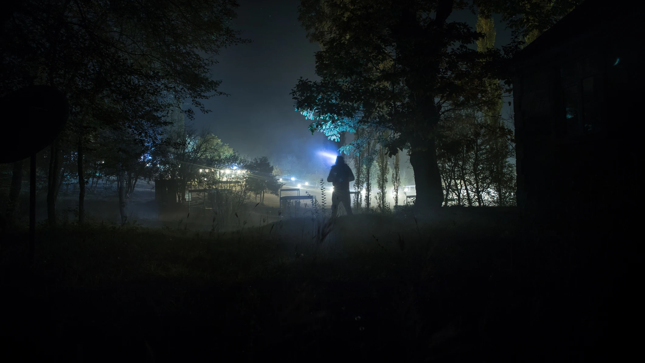 Imagen oscura de Halloween en un bosque