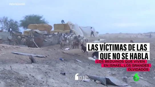 Las (otras) víctimas del conflicto entre Israel y Hamás de las que nadie está hablando Las (otras) víctimas del conflicto entre Israel y Hamás de las que nadie está hablando