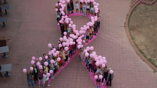 Cancer de mama Cancer de mama