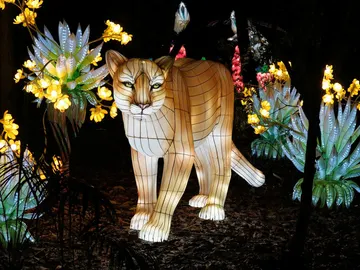 Brilla Madrid, el zoo iluminado más grande del mundo Brilla Madrid, el zoo iluminado más grande del mundo