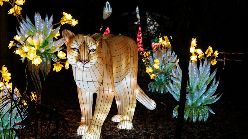 El zoo iluminado más grande del mundo llega a Madrid