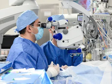 Determinada por primera vez la edad molecular del ojo Determinada por primera vez la edad molecular del ojo