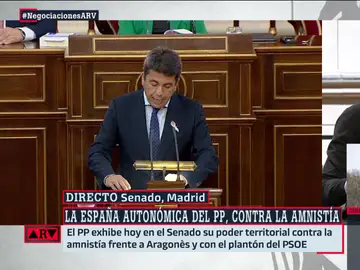 Lluís Orriols, tajante sobre el debate de la amnistía en la Cámara Alta: &quot;El Senado no funciona, es disfuncional&quot;