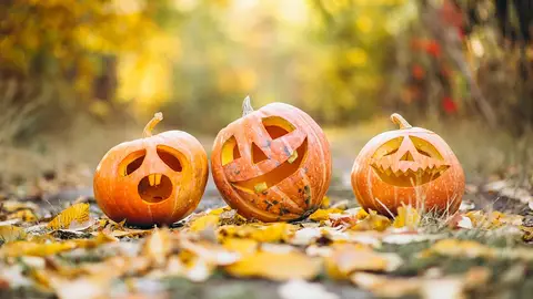 Halloween Halloween