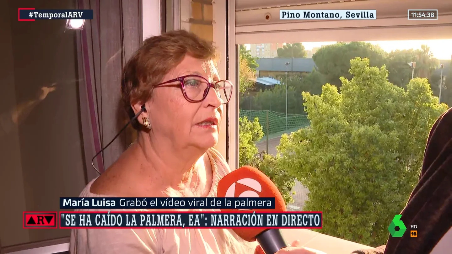 palmera entrevista palmera entrevista