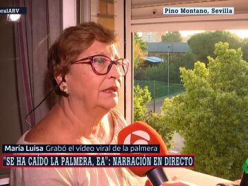 palmera entrevista