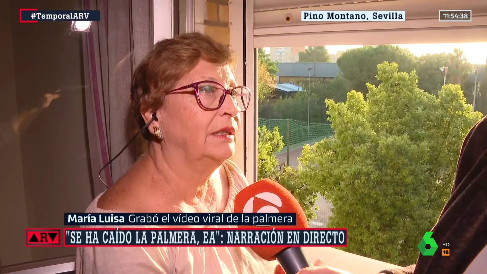 palmera entrevista