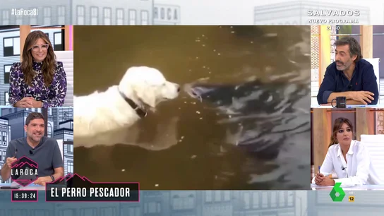 LAROCA Nacho García Perro pescador LAROCA Nacho García Perro pescador