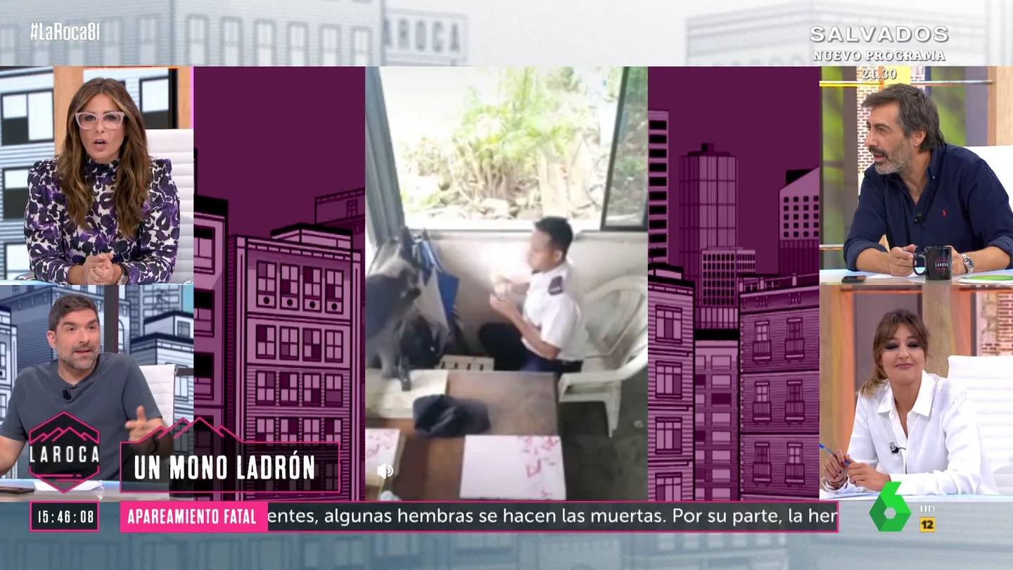 LAROCA Nacho García reacciona al robo de un mono LAROCA Nacho García reacciona al robo de un mono