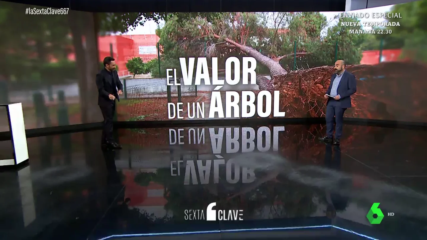 ¿Qué valor real tiene un árbol? Así funciona el escudo fundamental contra la contaminación y el cambio climático ¿Qué valor real tiene un árbol? Así funciona el escudo fundamental contra la contaminación y el cambio climático