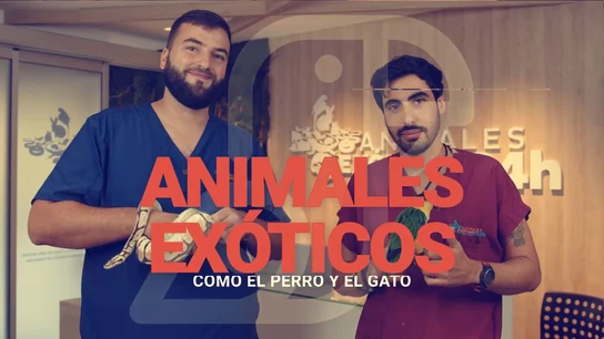 ¿Por qué son Javi Fernández y Pablo Casar los veterinarios “más exóticos” de Como el Perro y el Gato? Javi Fernández y Pablo Casar