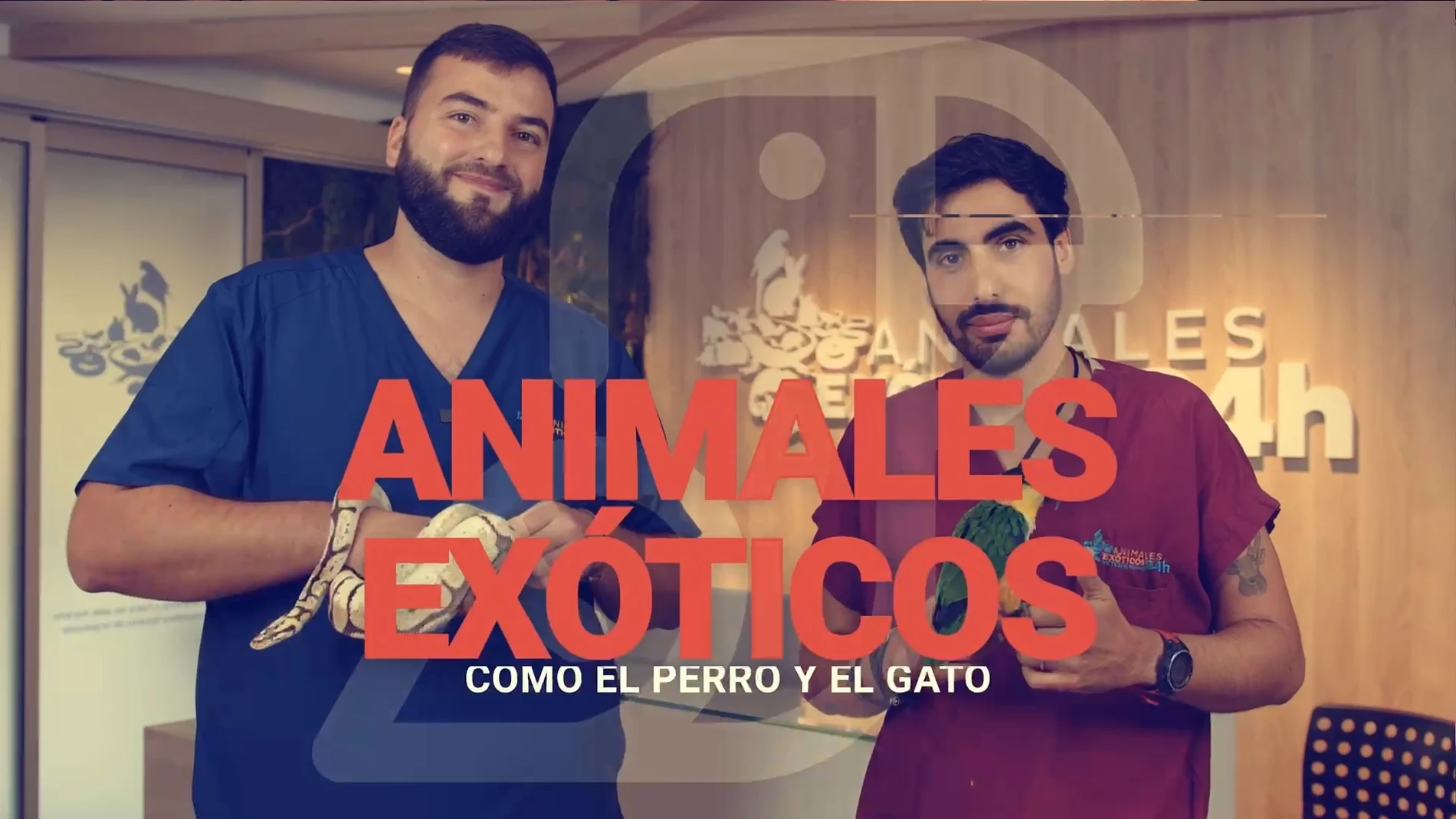 ¿Por qué son Javi Fernández y Pablo Casar los veterinarios “más exóticos” de Como el Perro y el Gato?
