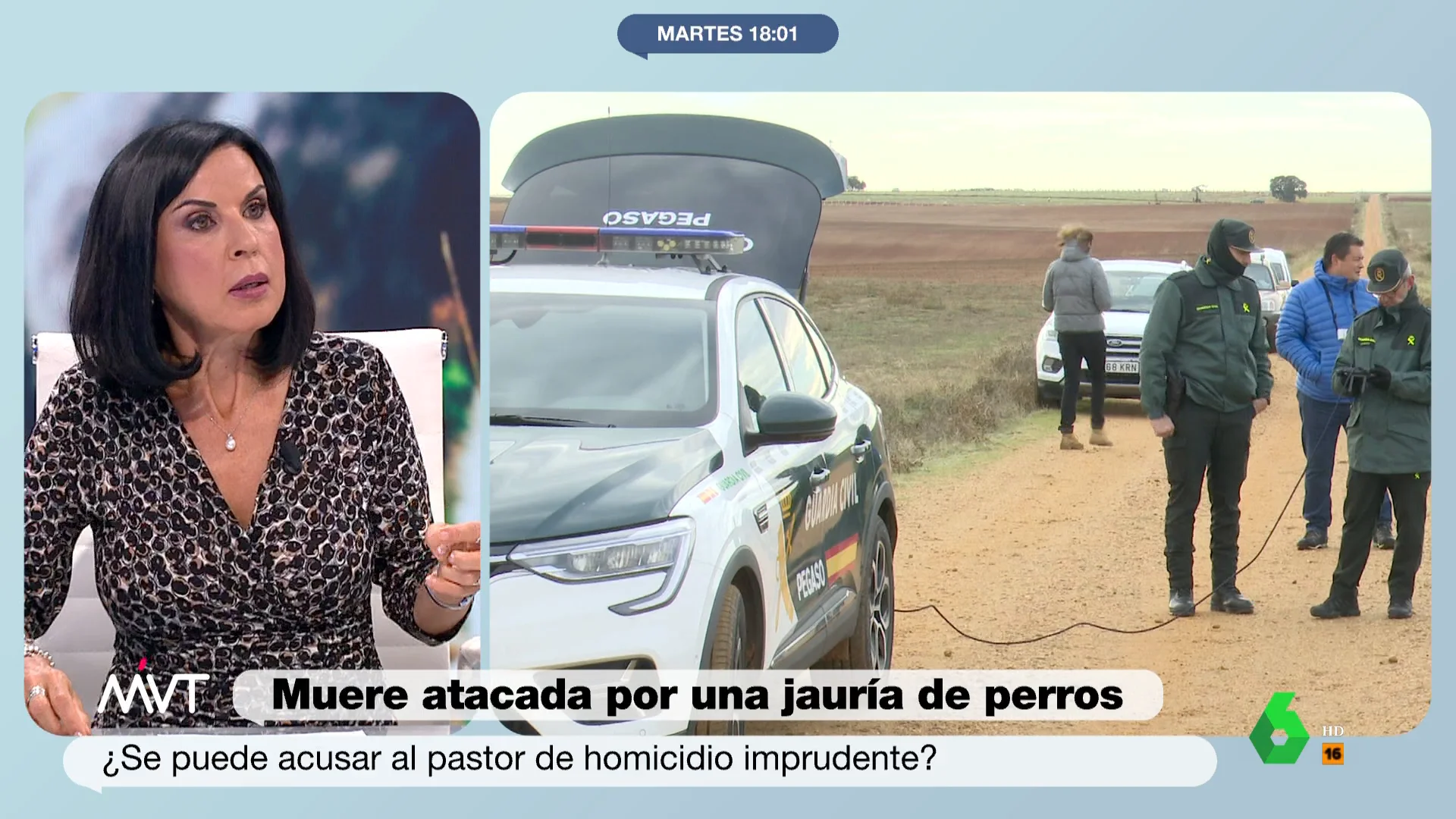 ¿Se puede acusar al pastor de Roales (Zamora) de homicidio imprudente? Beatriz de Vicente responde 