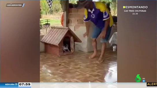 Un perro enfadado pega un portazo en la puerta de su caseta porque se empeñan en molestarle Un perro enfadado pega un portazo en la puerta de su caseta porque se empeñan en molestarle