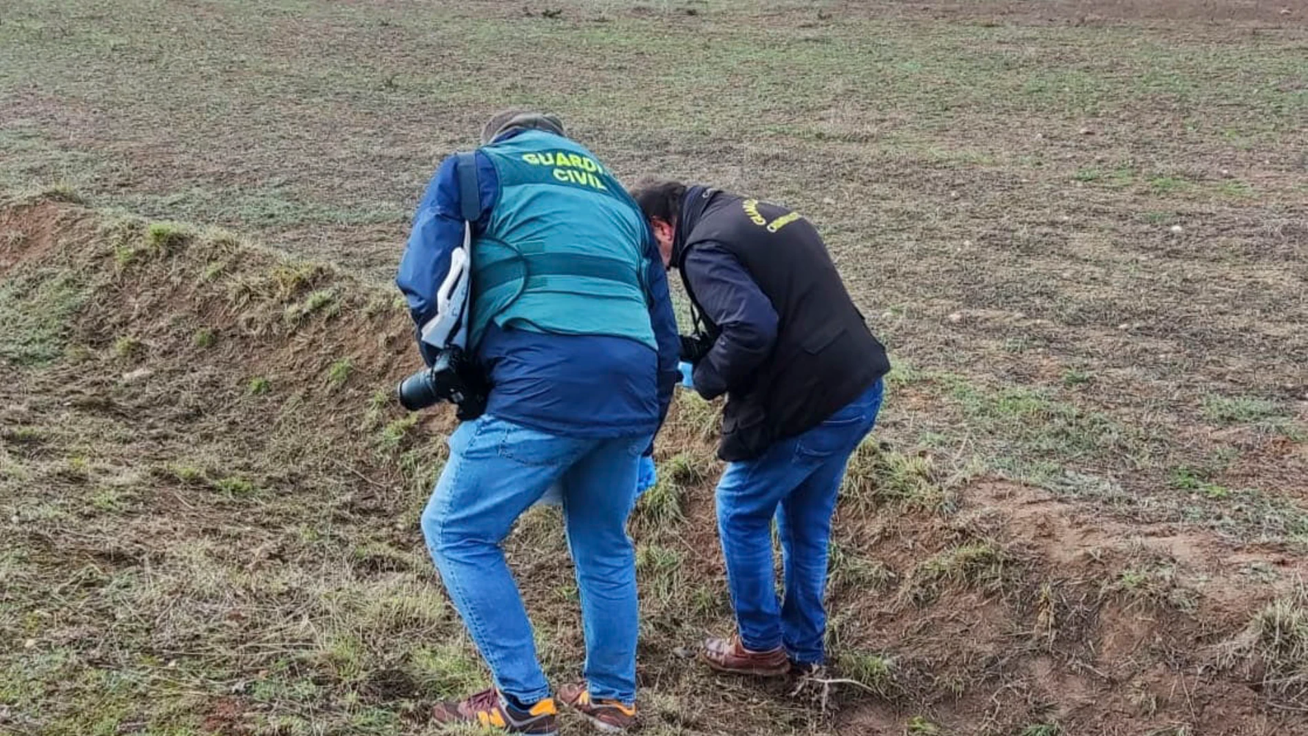 Agentes de la Guardia Civil investigan la muerte de una joven de Roales del Pan (Zamora) tras un ataque de perros de pastoreo