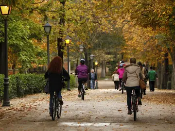 Unos 20 minutos de actividad física diaria reducen el riesgo de muerte a partir de los 50 años Unos 20 minutos de actividad física diaria reducen el riesgo de muerte a partir de los 50 años