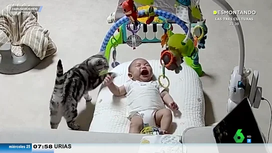 El extraño caso del gato canguro que calma los llantos del bebé en plena noche y hasta consigue que se ría El extraño caso del gato canguro que calma los llantos del bebé en plena noche y hasta consigue que se ría