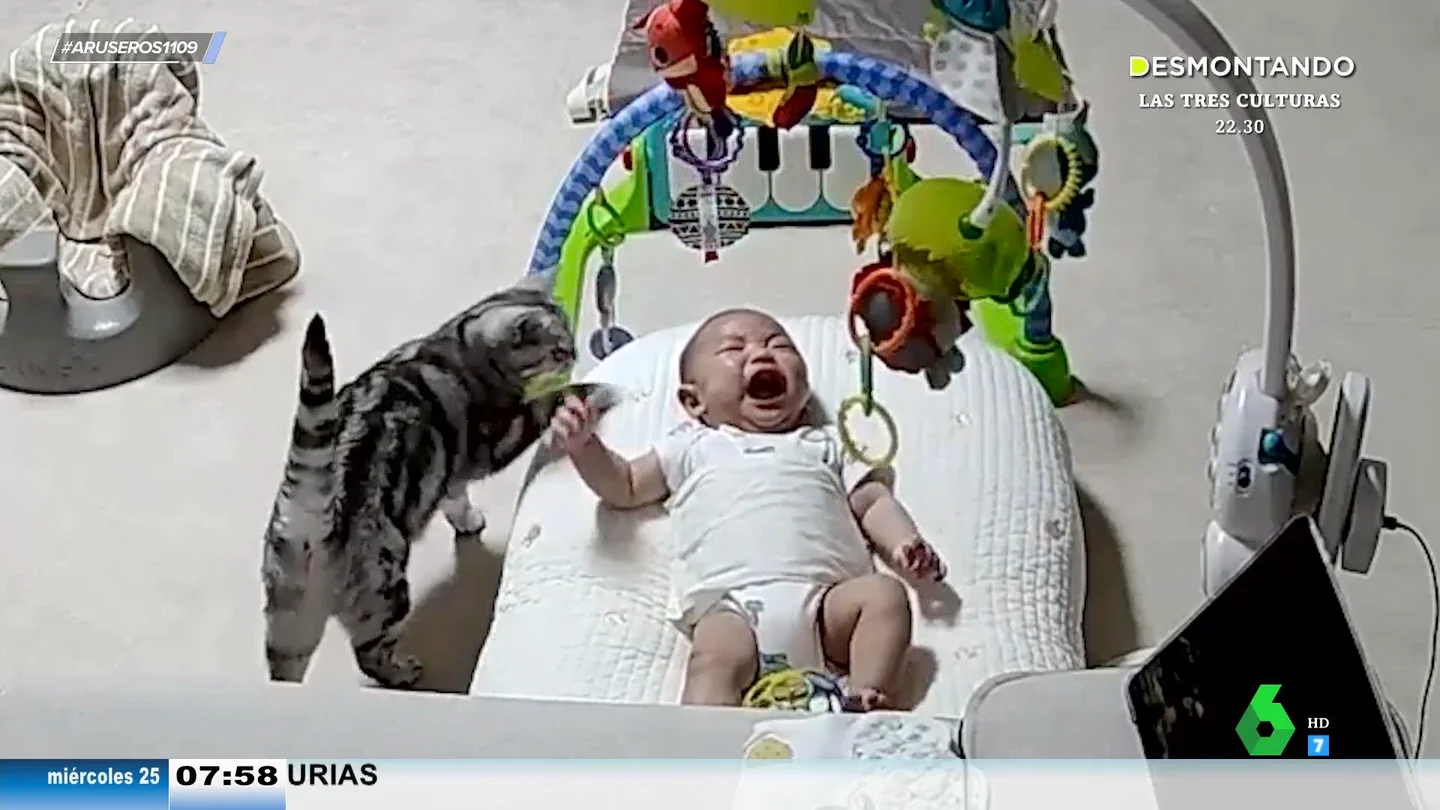El extraño caso del gato canguro que calma los llantos del bebé en plena noche y hasta consigue que se ría El extraño caso del gato canguro que calma los llantos del bebé en plena noche y hasta consigue que se ría