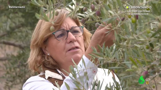 Una olivarera prevé una importante merma de la cosecha: "Quiero seguir pensando que será viable, estoy luchando para que lo sea" Una olivarera prevé una importante merma de la cosecha: "Quiero seguir pensando que será viable, estoy luchando para que lo sea"