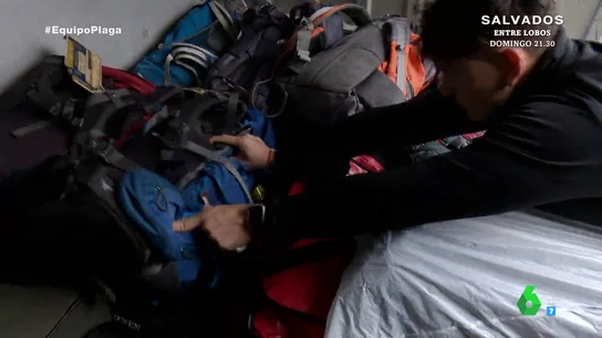 Una empresa que transporta mochilas a peregrinos explica a Equipo de Investigación por qué no revisa si llevan chinches Una empresa que transporta mochilas a peregrinos explica a Equipo de Investigación por qué no revisa si llevan chinches