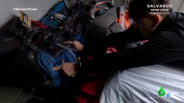 Una empresa que transporta mochilas a peregrinos explica a Equipo de Investigación por qué no revisa si llevan chinches