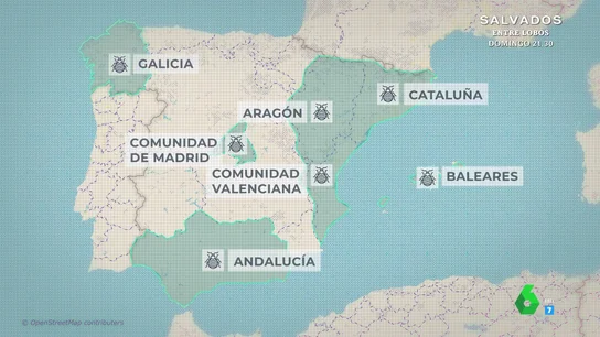 ¿Existe una plaga de chinches en España? Estos son los lugares donde ya han comenzado a expandirse ¿Existe una plaga de chinches en España? Estos son los lugares donde ya han comenzado a expandirse