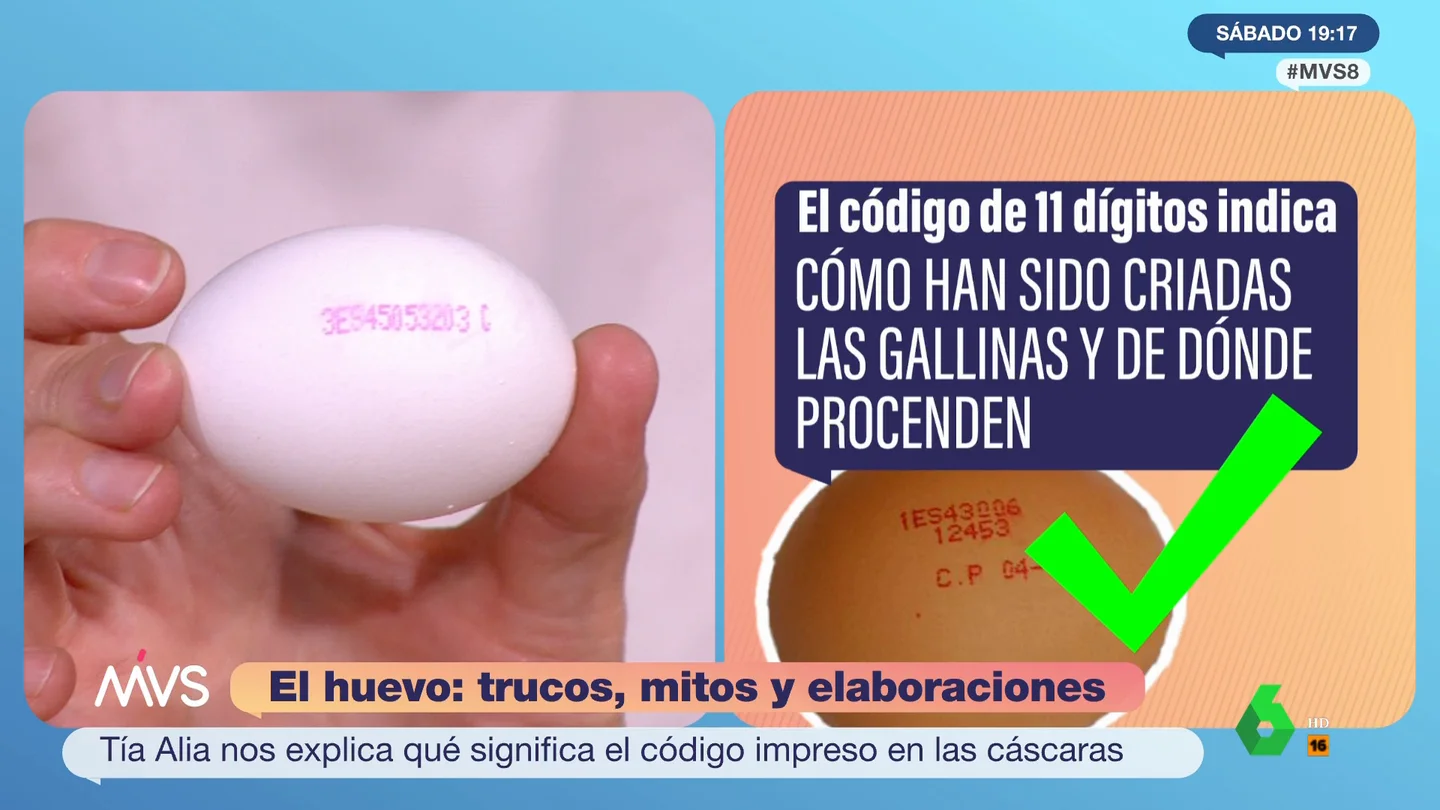 ¿Qué significan los números que tienen los huevos? Carmen Tia Alia te lo aclara ¿Qué significan los números que tienen los huevos? Carmen Tia Alia te lo aclara