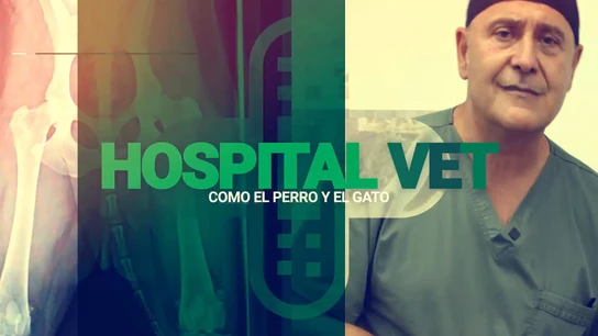 Carlos Rodríguez, un veterinario en la tele desde el “Un, dos, tres… Responda otra vez” Carlos Rodríguez, un veterinario en la tele desde el “Un, dos, tres… Responda otra vez”