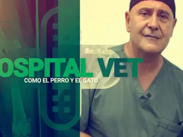Carlos Rodríguez, un veterinario en la tele desde el “Un, dos, tres… Responda otra vez”
