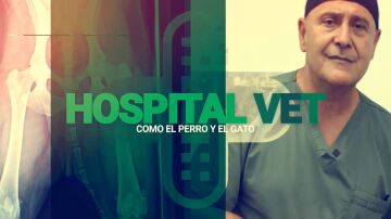 Carlos Rodríguez, un veterinario en la tele desde el “Un, dos, tres… Responda otra vez”