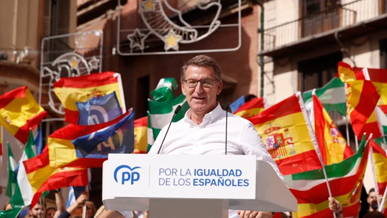 El líder del PP, Alberto Núñez Feijóo, en su comparecencia desde Málaga El líder del PP, Alberto Núñez Feijóo, en su comparecencia desde Málaga